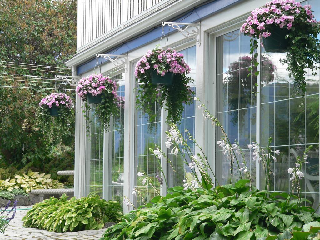 Lakeside Country Inn Savona Exterior foto