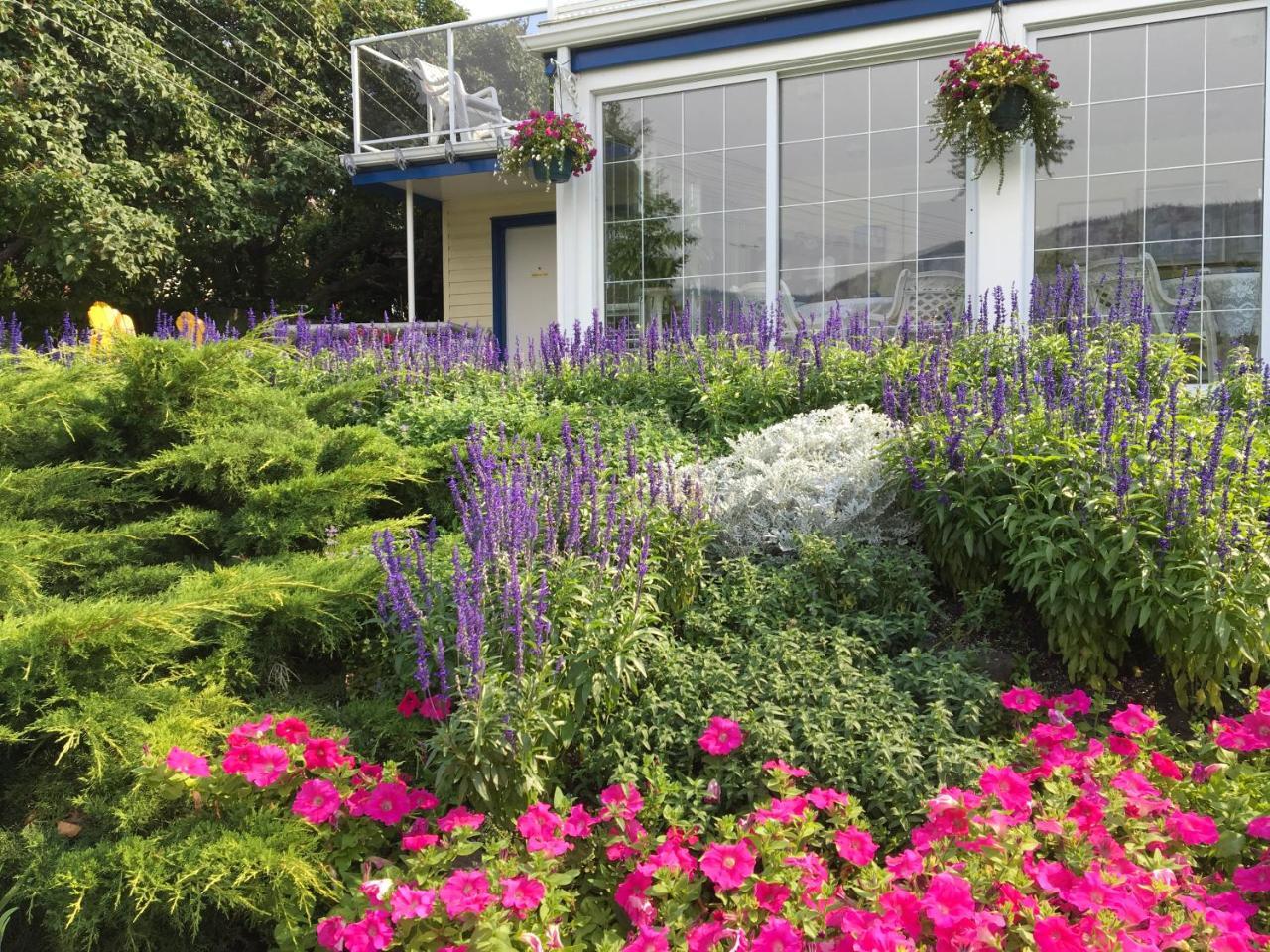 Lakeside Country Inn Savona Exterior foto
